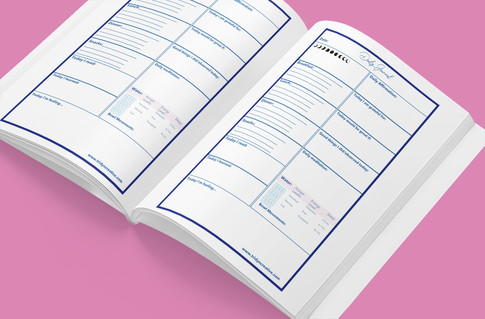 Manifestation journal interior pages and writing prompts