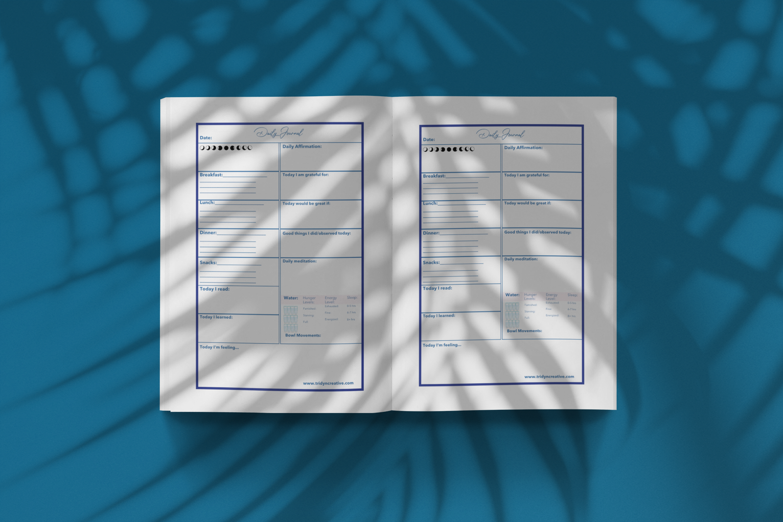 Manifestation journal open page spread with guided prompts